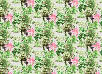 577438B5-CFEA-484A-8E36-9373CBBF0D93