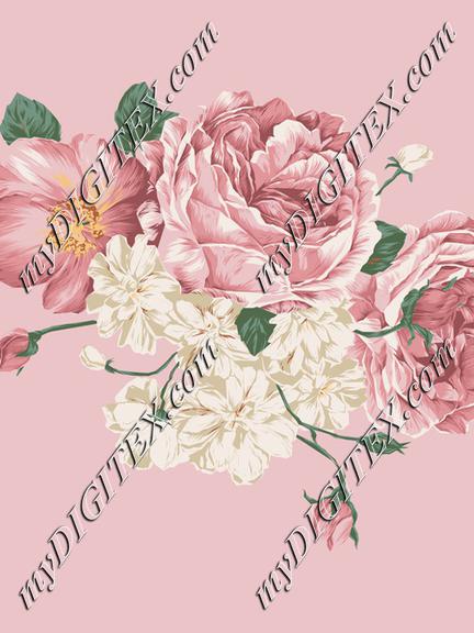 Peony EAC4C6