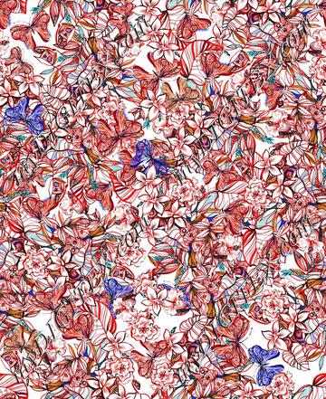D017896