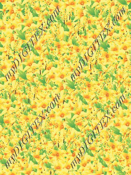 Forsythia Riot