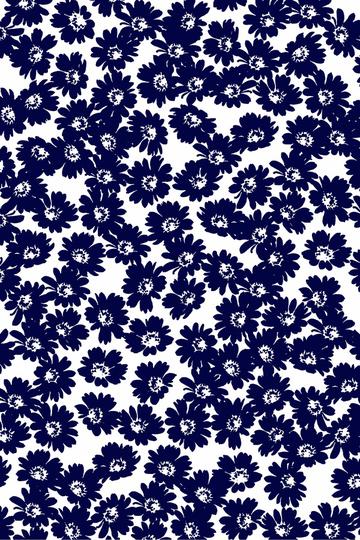 ST_2254_F  C#2