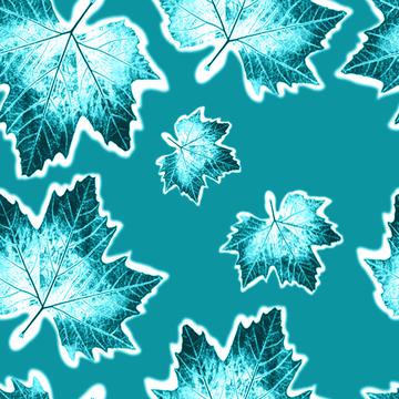 Maple leaves