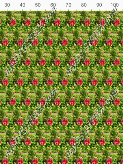 8752C287-A017-4740-9703-FB47F2FA45A1