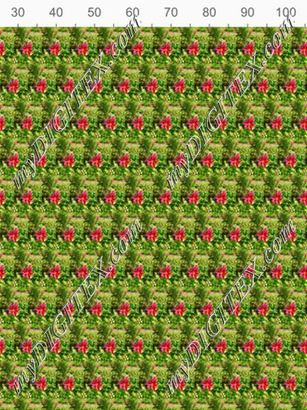 4AC652B0-B3BF-4423-92C2-26232A5C6318