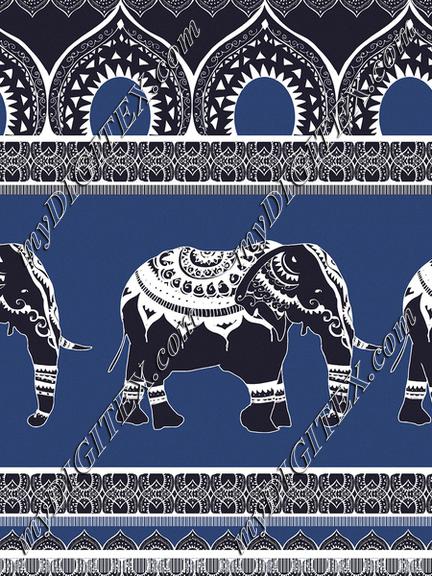 Ethnic elephants