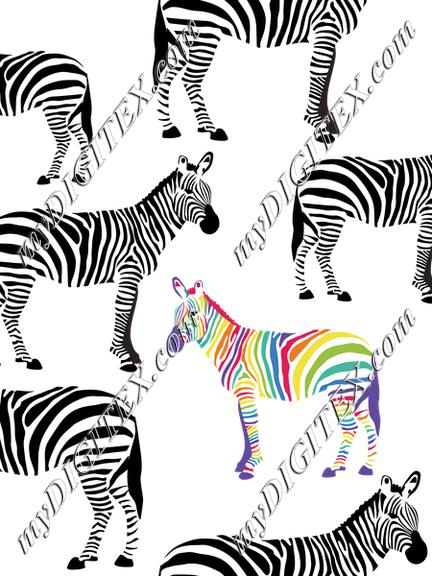 Zebras Black and White and Rainbow. Be Yourself!