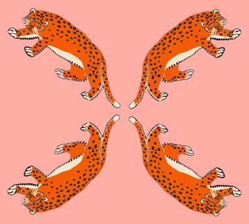 leopard salmon1