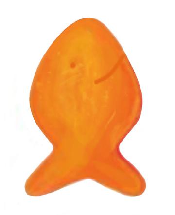 goldfish up