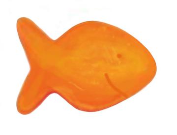 goldfish