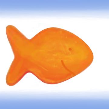 goldfish1