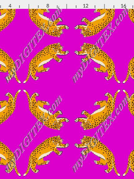 cheetah11