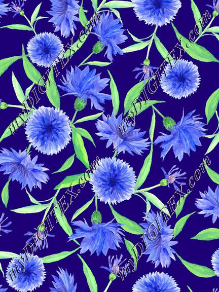 NK114cornflower