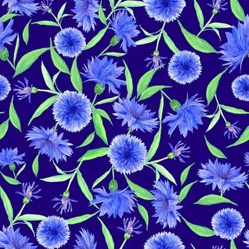 NK114cornflower