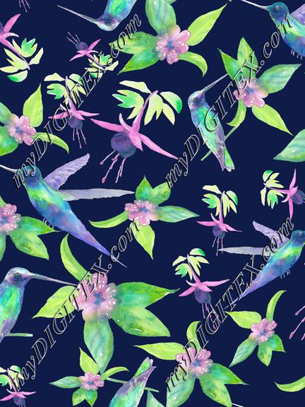 NK112hummingbird