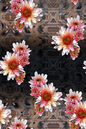 IX6536